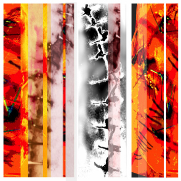 Catalogue Image